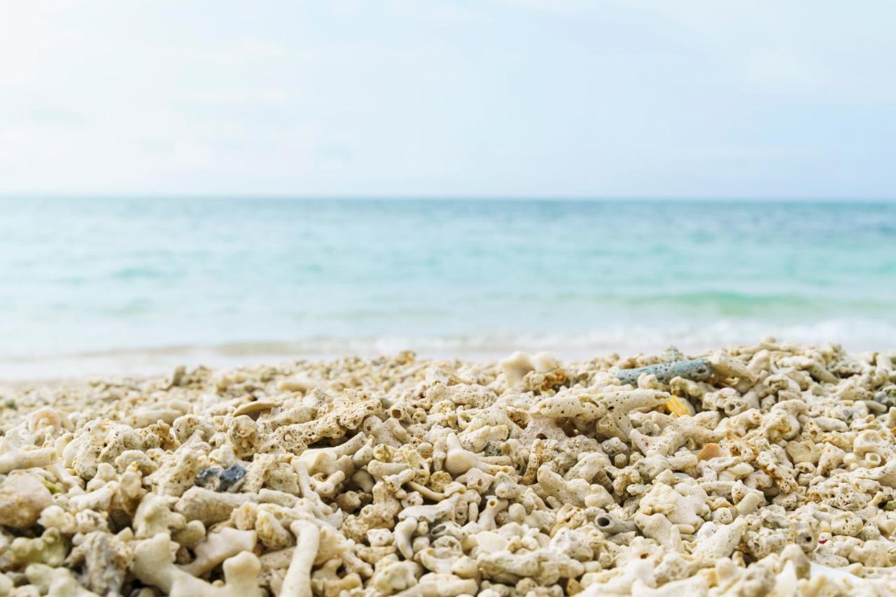 Bears Stay Kumejima Eef Beach Екстериор снимка